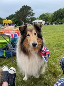 photo of collie dog at Jubilee event at old school meadow