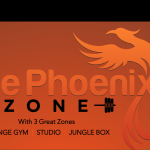 Phoenix zone gym Icon