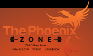Phoenix zone gym Icon