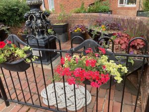 Flowers around the clock in Gurnard